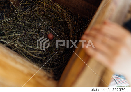 Fresh egg in a straw nest in a small wooden chicken coop, private farm in the countryside. Sustainable farming, fresh egg laid by organic domestic chicken Fresh egg in a straw nest in a small wooden chicken coop, private farm in the countryside. Sustainable farming, fresh egg laid by organic domestic chicken 112923764