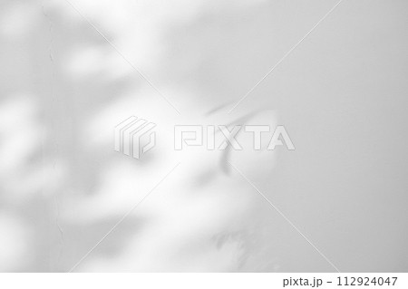 Abstract natural tree leaves shadow on white wall background 112924047