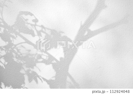 Abstract natural tree leaves shadow on white wall background Abstract natural tree leaves shadow on white wall background 112924048