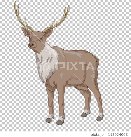 麋鹿elk 112924068