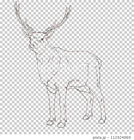 麋鹿elk 112924069