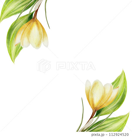 クロッカスの水彩画（フレーム付き） クロッカスの水彩画（フレーム付き） クロッカス | R_M ｜インテリア