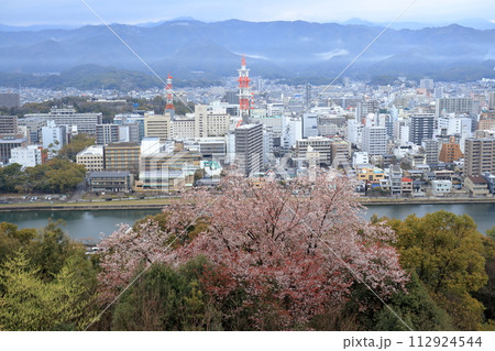 筆山からの眺望 桜の季節 (高知県 高知市) 筆山からの眺望 桜の季節 (高知県 高知市) 112924544