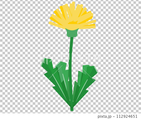 たんぽぽ。ベクターイラスト	 112924651