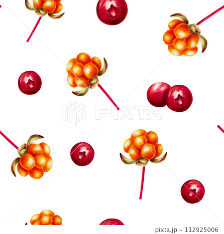 Watercolor seamless pattern with northern forest berry cloudberry, lingonberry, cranberry and cowberry illlustration. Juicy orange and red berries isolated on background. Clip art for designers 112925006