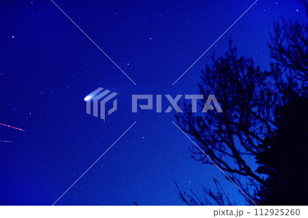 ヘール・ボップ彗星1997年出現 ヘール・ボップ彗星1997年出現 112925260