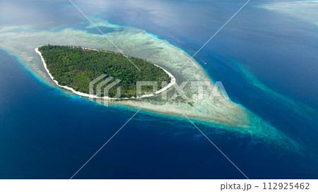 Aerial drone of tropical island with a beach in the ocean. Beautiful sandy beach with palm trees. Balabac, Palawan. Philippines. Aerial drone of tropical island with a beach in the ocean. Beautiful sandy beach with palm trees. Balabac, Palawan. Philippines. 112925462