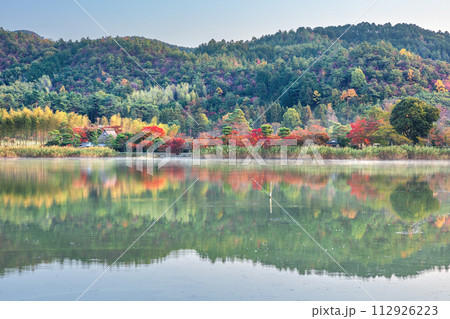 秋の広沢池 112926223