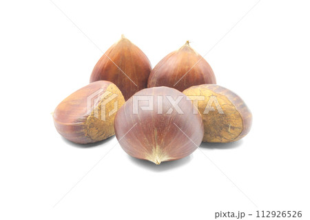 栗【長野県産　小布施栗】 112926526