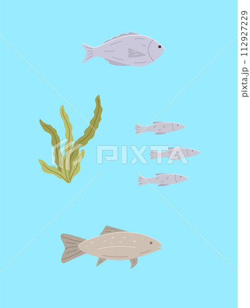 Set of sea or river fish and algae. Vector illustration dorado carp, a school of fish, blue background. 112927229