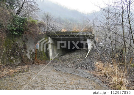 埋もれたロックシェッド 112927856