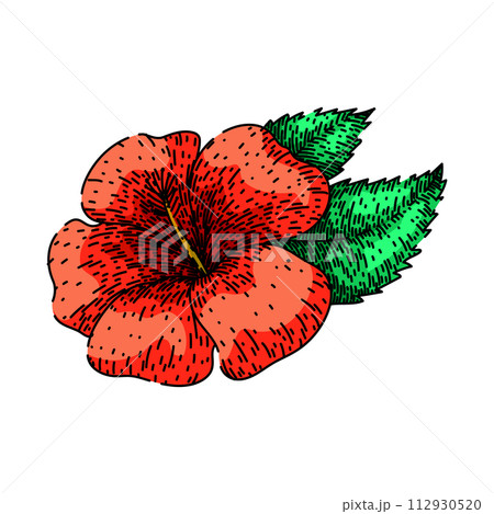 hawaii hibiscus sketch hand drawn vector hawaii hibiscus sketch hand drawn vector 112930520