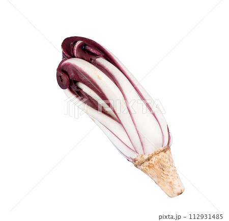 a late red radicchio head 112931485