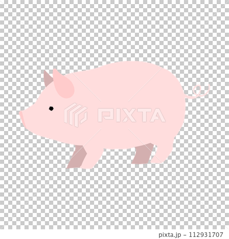 豬插圖 112931707