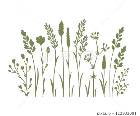 Wildflowers and flowers, plants and herbs ornament Wildflowers and flowers, plants and herbs ornament 112932081