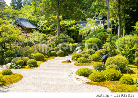 龍潭寺庭園 龍潭寺庭園 112932818