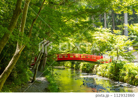 遠江国一宮 小國神社　宮川沿いの青紅葉 112932860