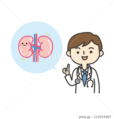 腎臓の説明をする医師 112933987