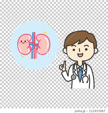 腎臓の説明をする医師 112933987