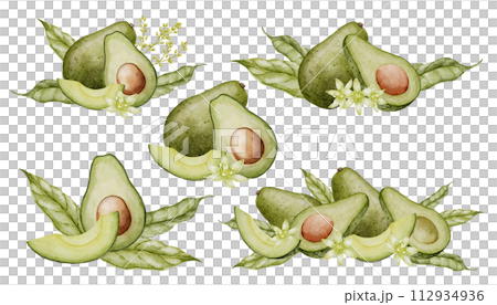 Avocado Watercolor illustrations set. Botanical drawing of Fruit with flower. Vegetable with leaves painting. Hand drawn composition of vegan food on isolated background for recipes and cookbooks. Avocado Watercolor illustrations set. Botanical drawing of Fruit with flower. Vegetable with leaves painting. Hand drawn composition of vegan food on isolated background for recipes and cookbooks. 112934936