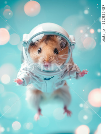 exultant hamster, in a snugly fitting astronaut costume, levitating as if exploring new heights, bathed in a soft pastel glow from studio lights against an isolated background 112935487