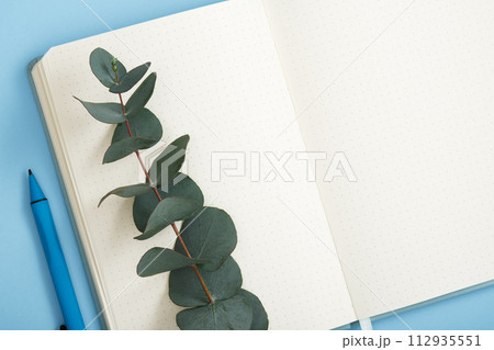 Stem of Eucalyptus gunnii lie on empty page of notebook. Space for your text. 112935551
