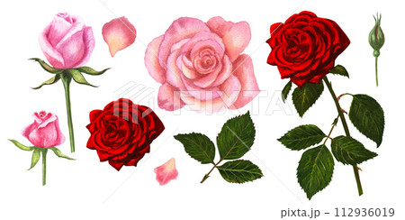 Watercolor set of leaves and flowers roses Watercolor set of leaves and flowers roses 112936019