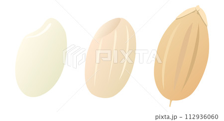 米粒セット 白米・玄米・籾のイラスト素材 [112936060] - PIXTA