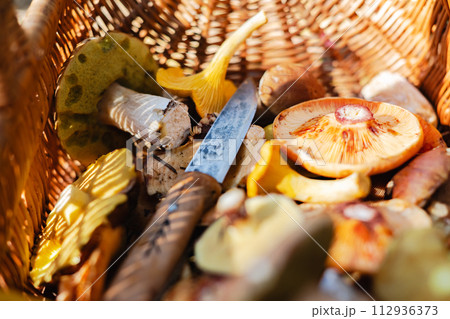 Close up of different edible mushrooms with knife in basket. 112936373