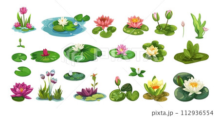 AI-generated content. Swamp plants set. Isolated cartoon water lily. Forest pond elements, wild nature green collection. Vector floral and herbst clipart 112936554