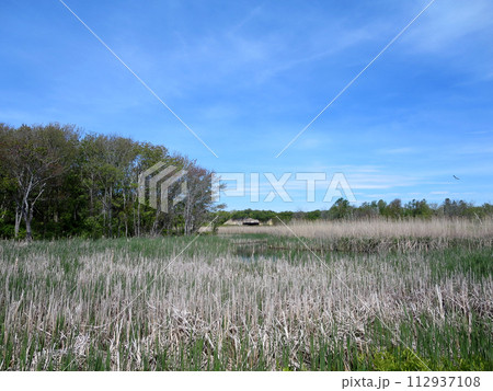 Waterway through forest with historic fort Battery Steele 112937108