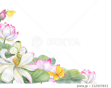Sacred lotus flower with fluttering yellow butterflies. Horizontal frame with copy pace for text. pink white waterlily and green leaves. Watercolor illustration for greetings, invitation, postcards 112937651