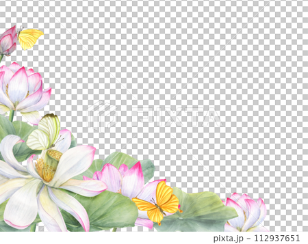 Sacred lotus flower with fluttering yellow butterflies. Horizontal frame with copy pace for text. pink white waterlily and green leaves. Watercolor illustration for greetings, invitation, postcards 112937651