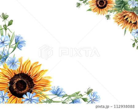 Horizontal frame with sunflowers, meadow plants. Chicory branches. Blue, orange yellow flower bouquet. Floral composition with copy space for text. Watercolor illustration for greeting 112938088