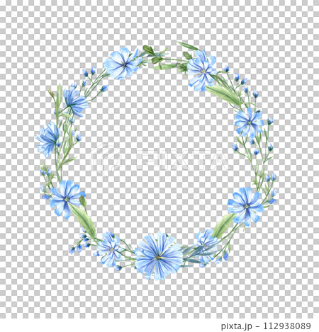 Blue chicory wreath. Wild meadow flowers. Flower heads, leaves and Cichorium with space for text. Delicate intybus branch. Floral watercolor illustration for medical design, package 112938089