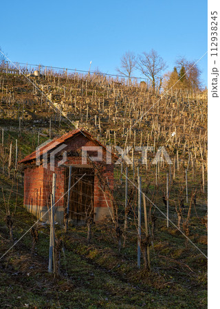 Autumn Serenity in Germany. Picturesque Villages with Vineyards Along Riverbanks. Autumn Serenity in Germany. Countryside Villages and Vineyards Along the River. autumn landscapes of Germany 112938245