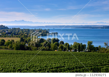 Bodensee Panorama: Alps on the Horizon, Vineyards, and Pastoral Beauty. Alpine Horizon: Bodensee, Vineyards, and Quaint Villages in the German Countryside. Vineyard Vistas: Bodensee, Alpine Peaks, and Bodensee Panorama: Alps on the Horizon, Vineyards, and Pastoral Beauty. Alpine Horizon: Bodensee, Vineyards, and Quaint Villages in the German Countryside. Vineyard Vistas: Bodensee, Alpine Peaks, and 112938271