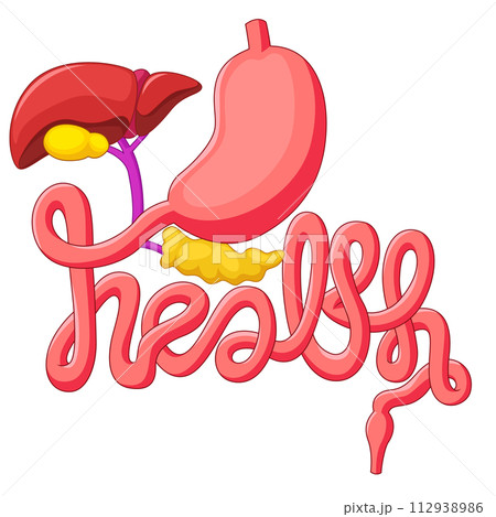 Health Campaign Symbol Human Digestive System, Vector Illustration 112938986