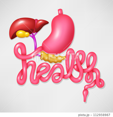 Health Campaign Symbol Human Digestive System, Vector Illustration Health Campaign Symbol Human Digestive System, Vector Illustration 112938987