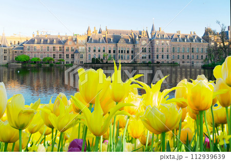Binnenhof - Dutch Parliament, Holland 112939639