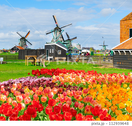 Dutch wind mills 112939648