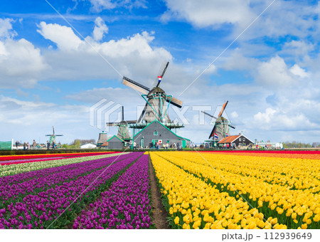Dutch wind mills Dutch wind mills 112939649