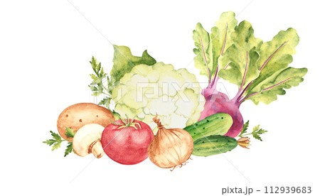 Vegetable composition. Set of cauliflower, cucumbers and beet. Tomato and champignon, potato and parsley plant, onion. Hand drawn botanical watercolor illustration isolated on white background Vegetable composition. Set of cauliflower, cucumbers and beet. Tomato and champignon, potato and parsley plant, onion. Hand drawn botanical watercolor illustration isolated on white background 112939683
