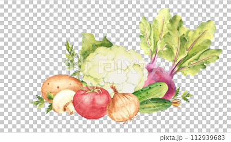 Vegetable composition. Set of cauliflower, cucumbers and beet. Tomato and champignon, potato and parsley plant, onion. Hand drawn botanical watercolor illustration isolated on white background Vegetable composition. Set of cauliflower, cucumbers and beet. Tomato and champignon, potato and parsley plant, onion. Hand drawn botanical watercolor illustration isolated on white background 112939683