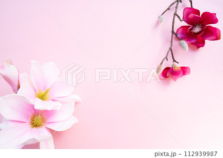 Blossoming pink magnolia tree Flowers 112939987