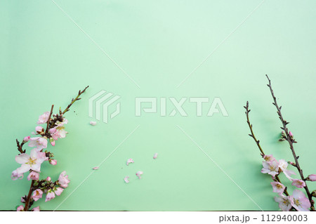 spring cherry and almond tree flowers 112940003