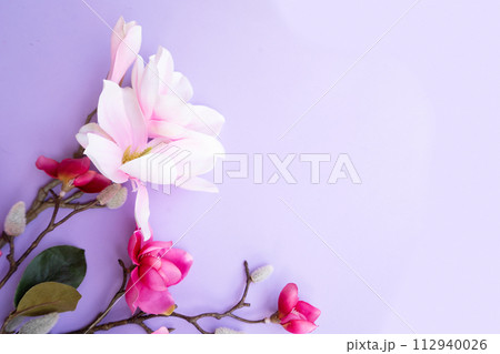 Blossoming pink magnolia tree Flowers 112940026