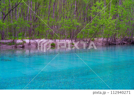【渓流素材】初夏の上高地・梓川の清流【長野県】 112940271