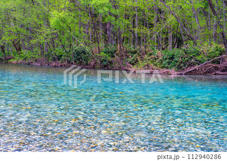 【渓流素材】初夏の上高地・梓川の清流【長野県】 【渓流素材】初夏の上高地・梓川の清流【長野県】 112940286