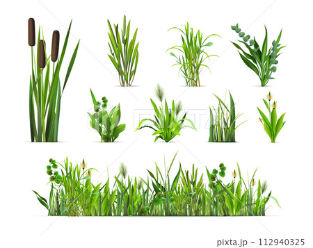 Realistic grass bushes. 3d isolated green vegetation, reed bush sprout forest plants grasses weed bunch farm garden yard summer glade spring field, herbs exact vector illustration 112940325